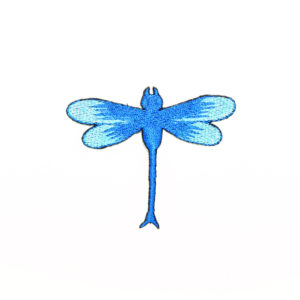 LA BELLE • BLUE • LIBELLE • ANIMAL • DRAGONFLY