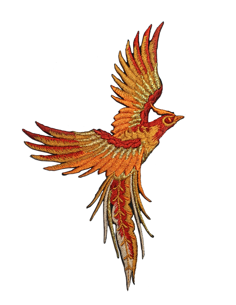 Web-Bird-paradise-orange-right_2338