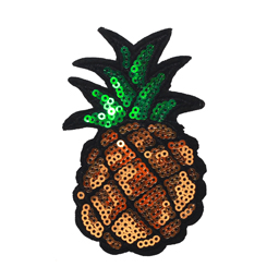 Web-pineapple-pajeten_1742